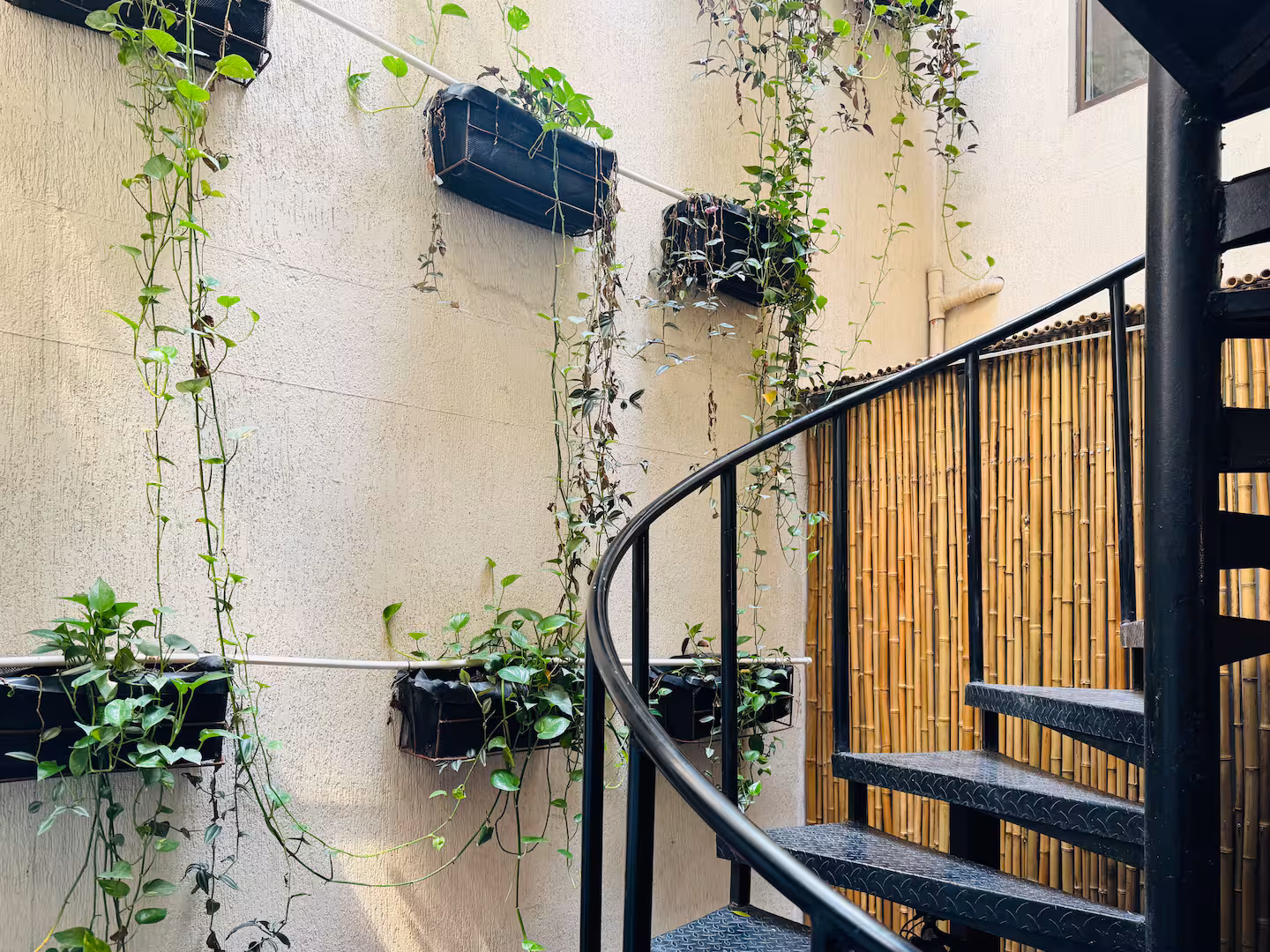 f05b871b-0461-44f2-8c19-cb71285ee5ac